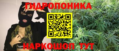 трава Заволжье