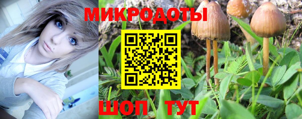 Галлюциногенные грибы мухоморы  Псилоцибиновые грибы Cubensis  Можайск  Вход с VPN 